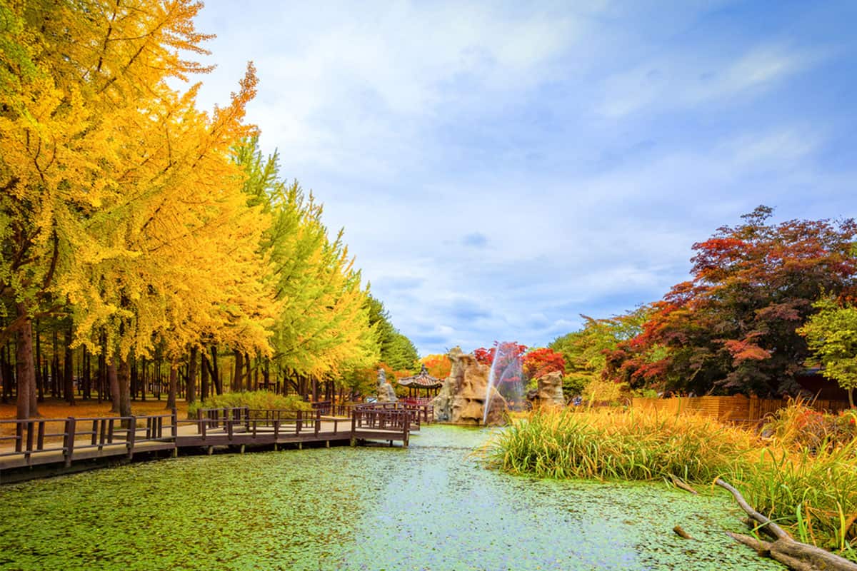 Khám phá Mùa thu Hàn Quốc: SEOUL - NAMI - EVERLAND - STARFIELD